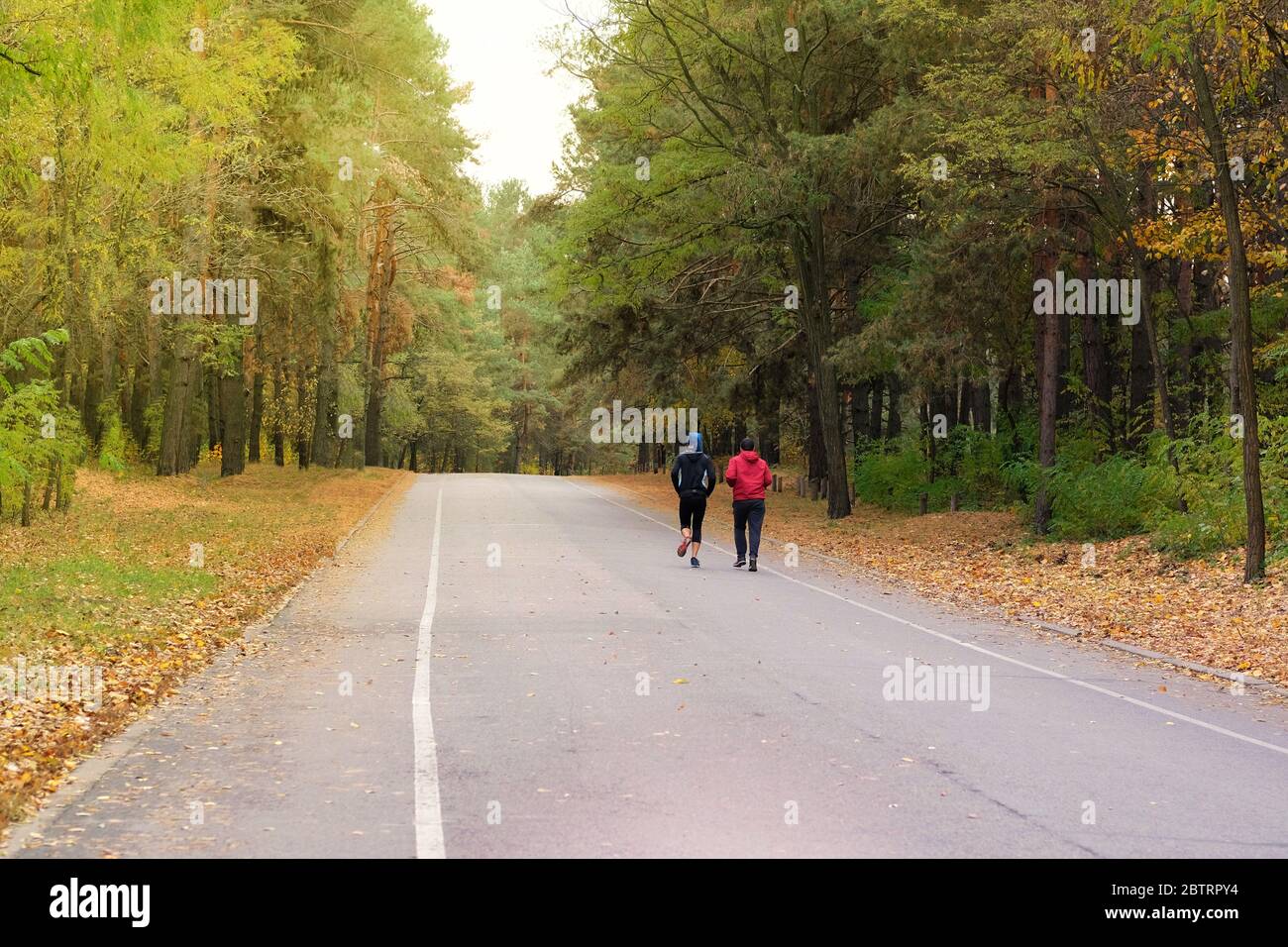 Corridori in protezione in autunno foresta di conifere. Coppia è in esecuzione tra molti alberi. Concetto di sport e vita attiva. Stile di vita sano. Giorno di sole. Foto Stock