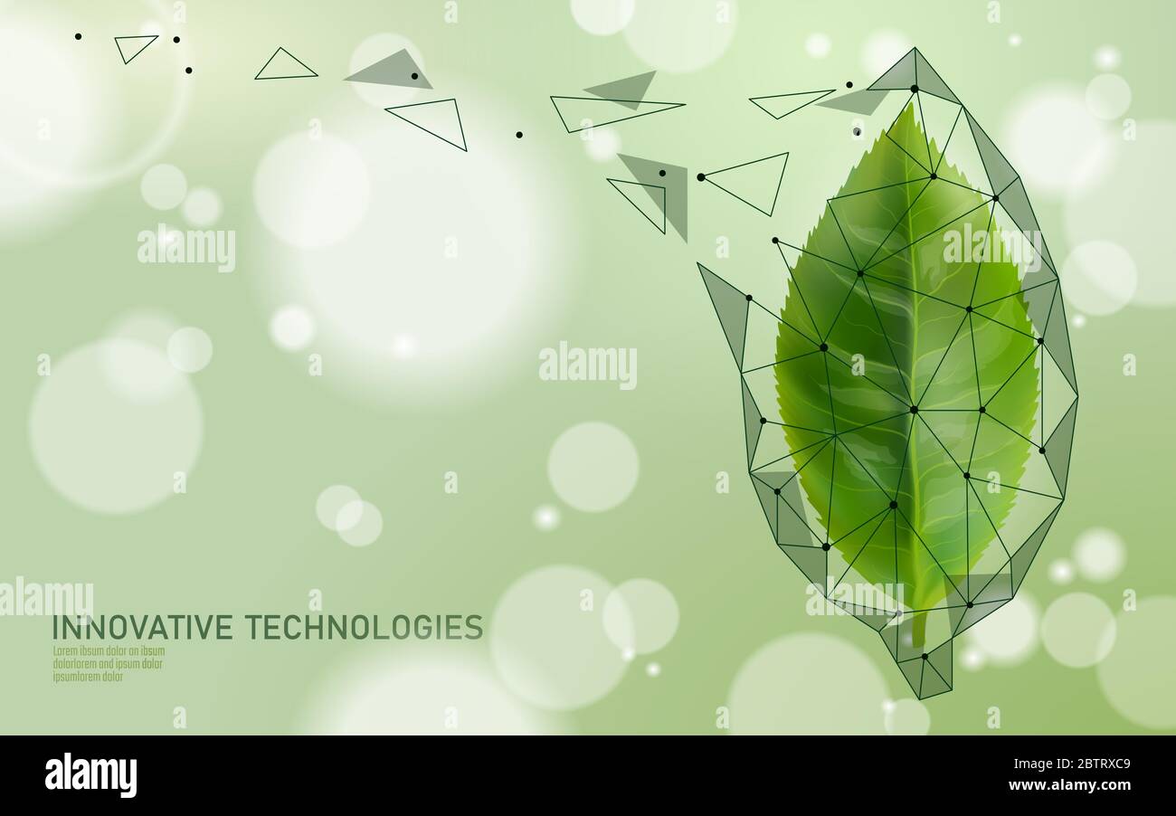 Tè verde estratto organico essenziale. Supplemento cosmetico per la cura della pelle. Modello di poster di vitamina di medicina di salute. Tecnologia innovativa 3D ecologico realistico Illustrazione Vettoriale