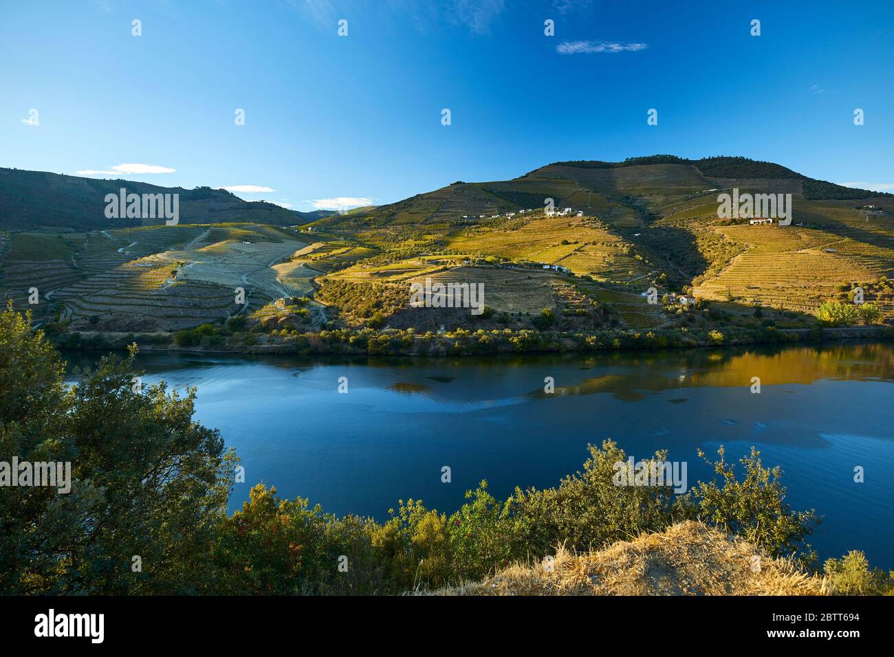 La valle del fiume Douro, nel nord del Portogallo, è il luogo di nascita di Port Wine. La regione è conosciuta per i suoi vigneti, i mandorli e gli ulivi. Foto Stock