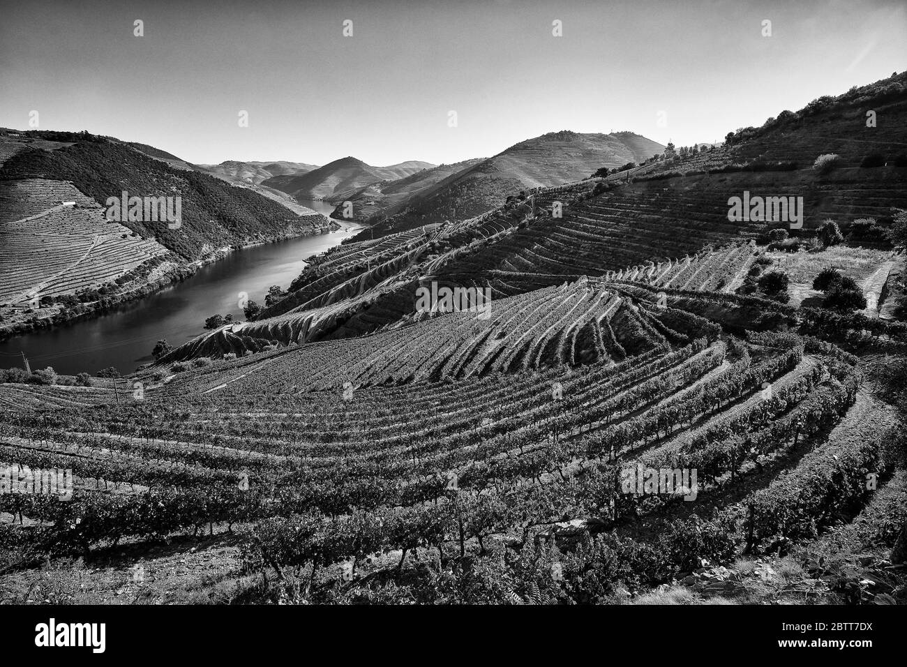 La valle del fiume Douro, nel nord del Portogallo, è il luogo di nascita di Port Wine. La regione è conosciuta per i suoi vigneti, i mandorli e gli ulivi. Foto Stock