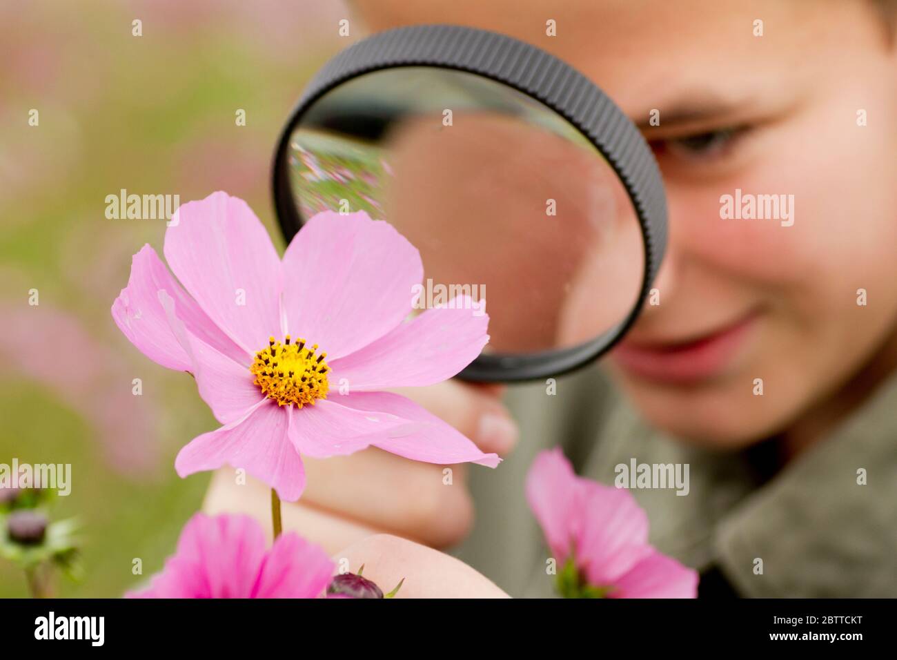 Junge betrachtet Blume durch eine Lupe, MR: Sì Foto Stock