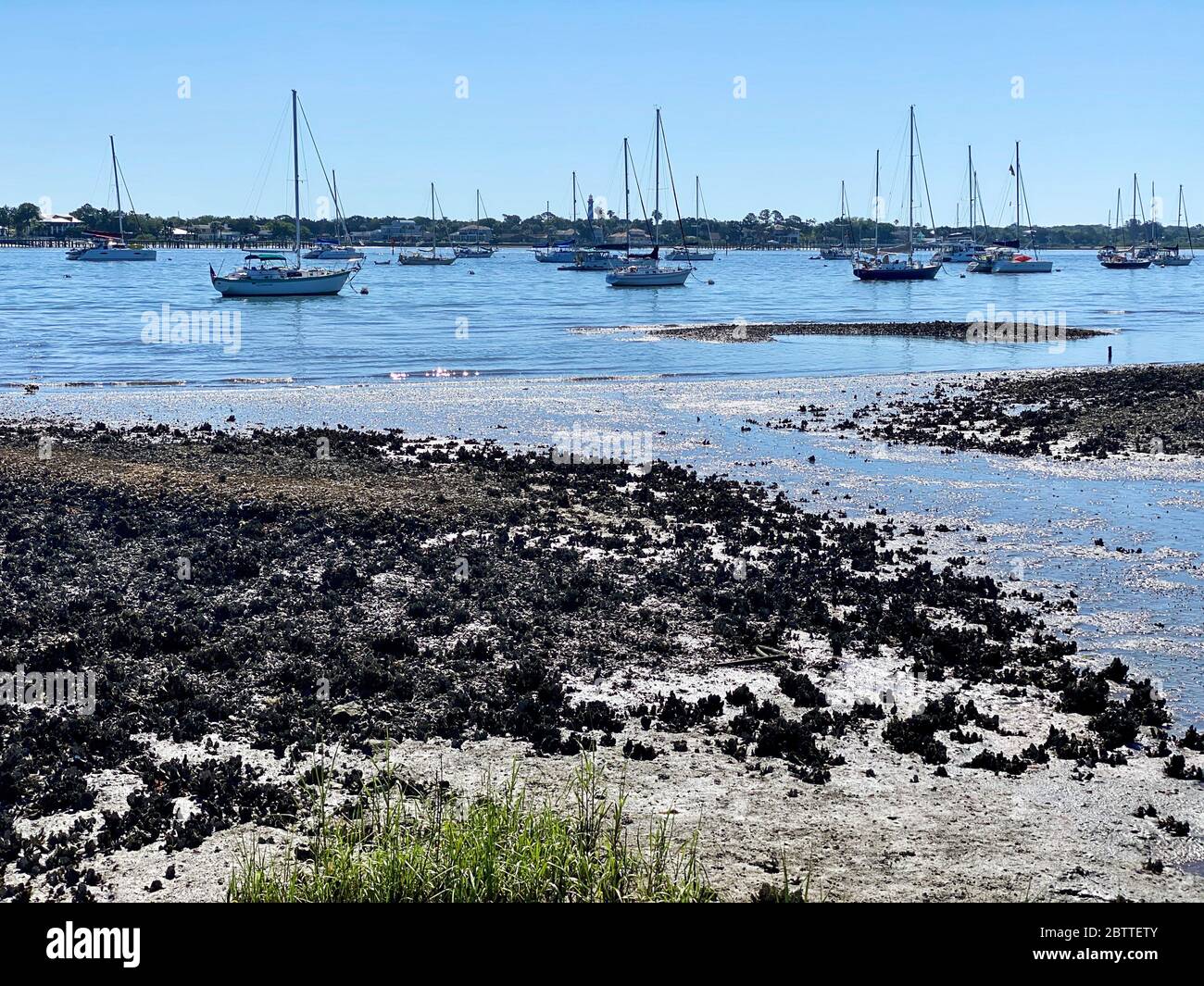 Matanzas Bay, St. Augustine, Florida Foto Stock