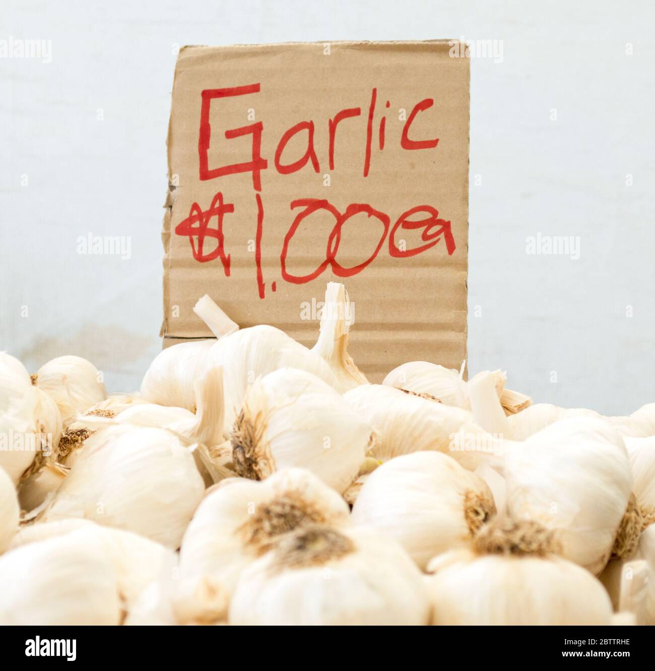 Cartello scritto a mano con scritto 'aglio 1.00 dollari ea' arrotondata da bulbi di aglio fresco presso un mercato agricolo locale Foto Stock