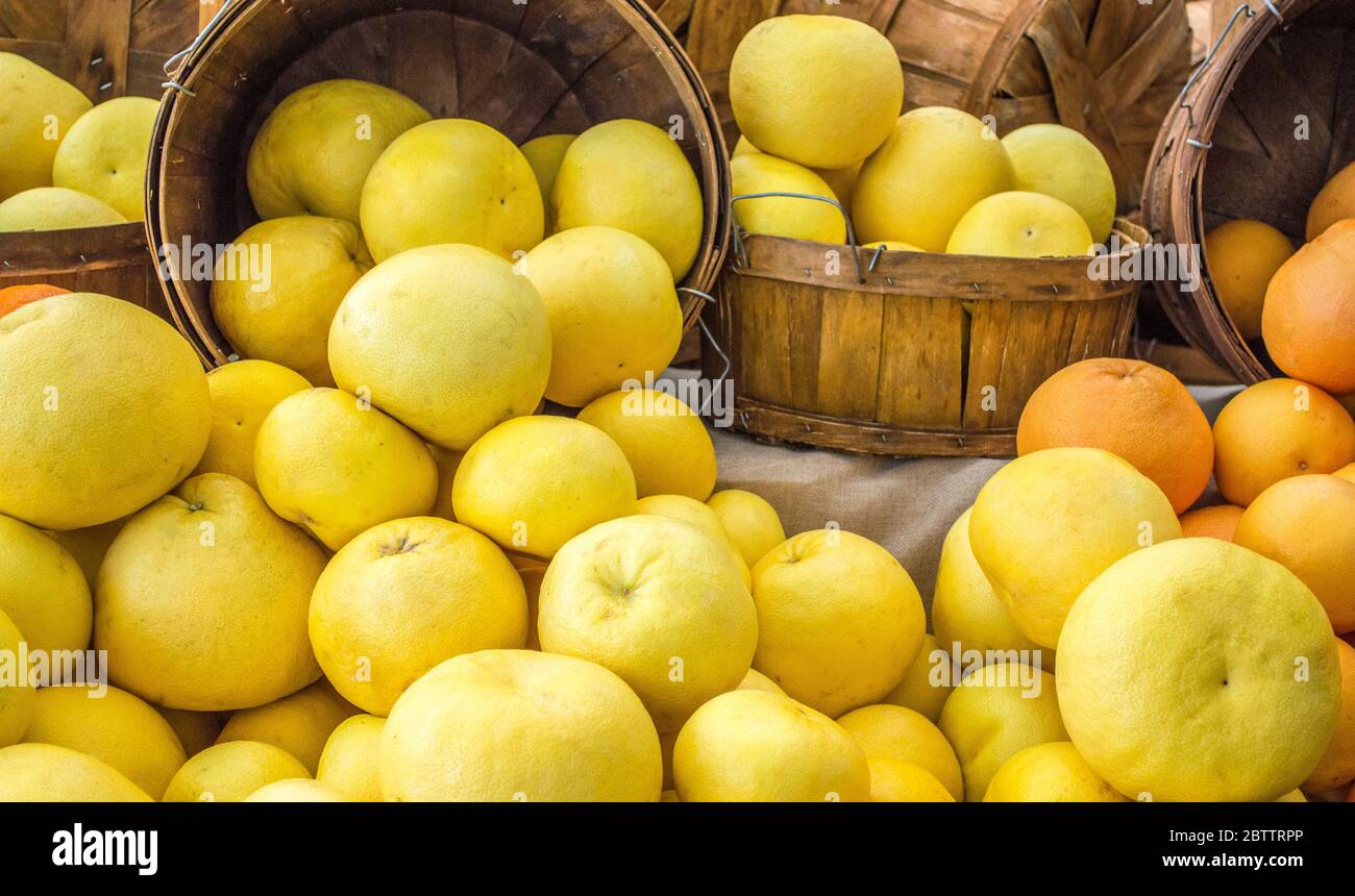 primo piano telaio pieno di pompelmo giallo e arancio maturi in secchi di legno presso un mercato agricolo locale Foto Stock