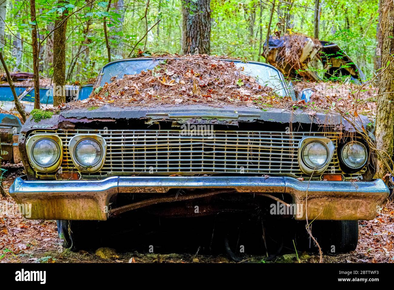 Old Chevy Grill a Woods Foto Stock