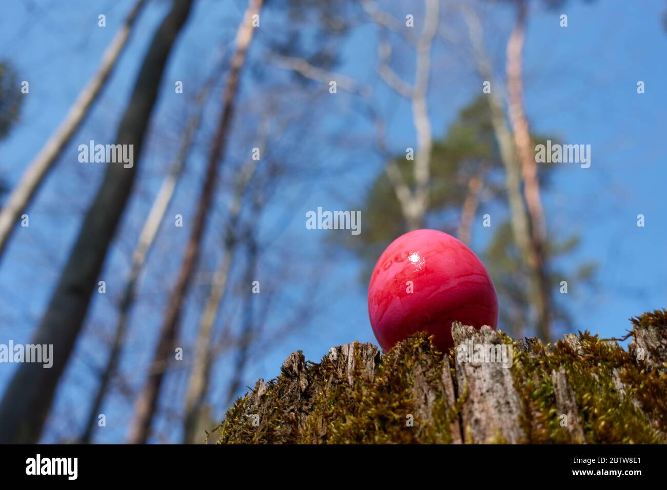 L'uovo di Pasqua rosa è su un ceppo di albero Foto Stock