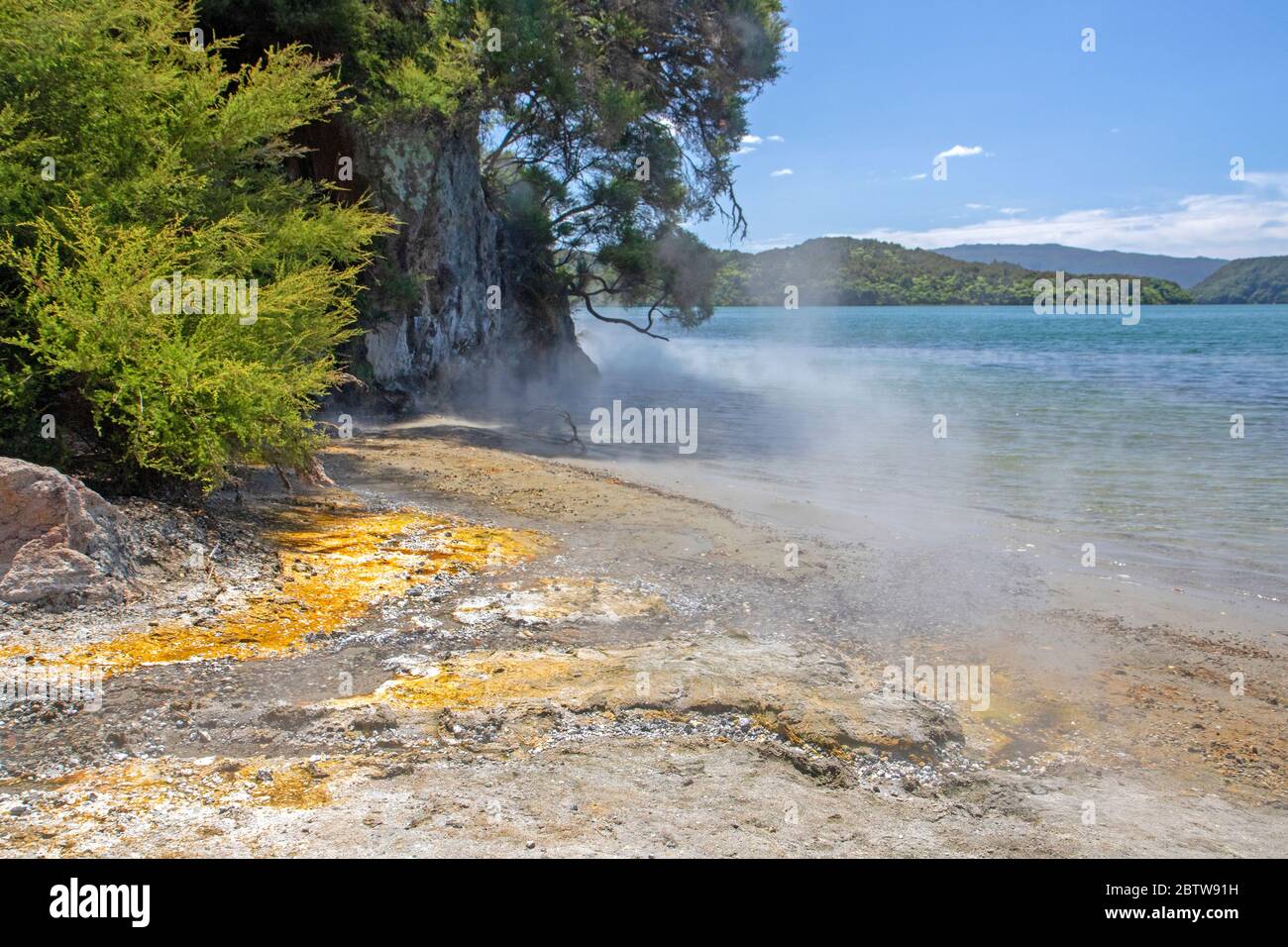 Spiaggia di acqua calda sul lago Tarawera Foto Stock