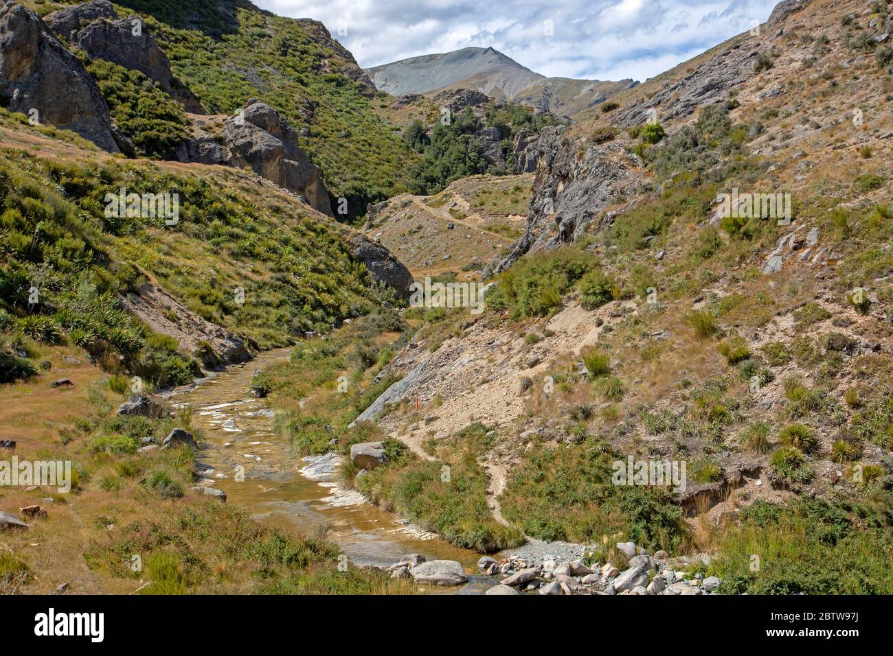 Il Mt Somers Track che corre accanto a Morgan Stream Foto Stock