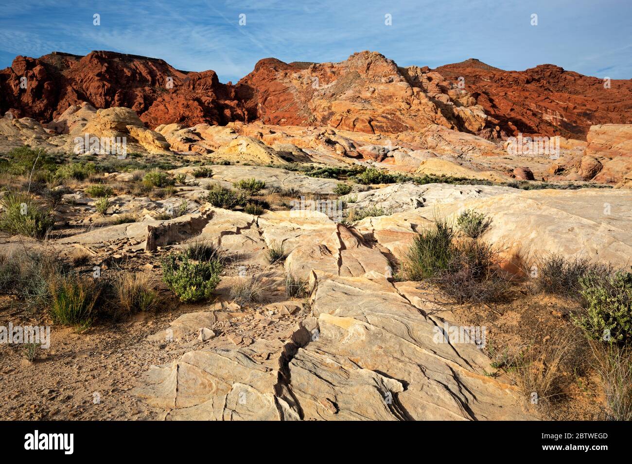 NV00157-00...NEVADA - arenaria colorata e delicati strati di compattazione nel Valley of Fire state Park. Foto Stock