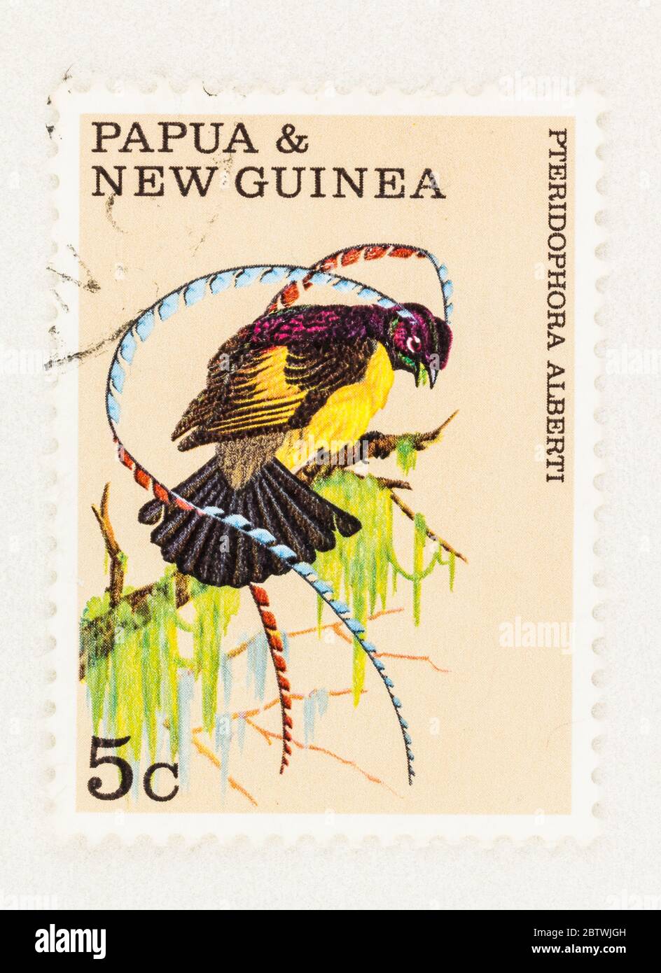 SEATTLE WASHINGTON - 25 maggio 2020: Primo piano del re di Sassonia uccello di paradiso su Papua e Nuova Guinea. Scott 301 Foto Stock