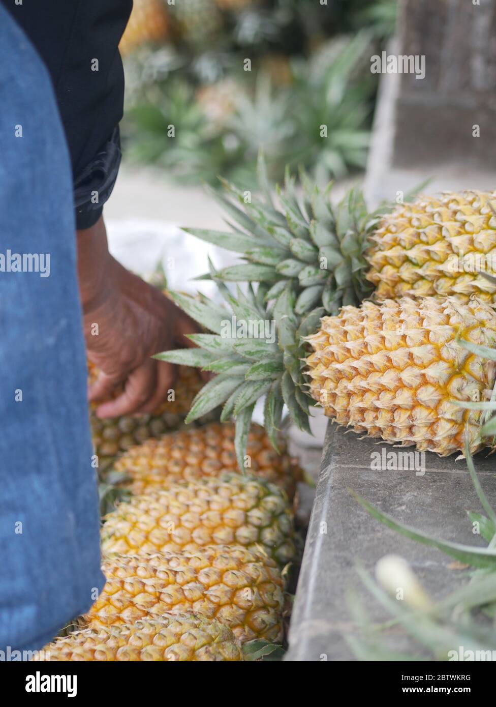 Venditore ananas nel mercato bedali tradizionale a Blitar, Indonesia Foto Stock