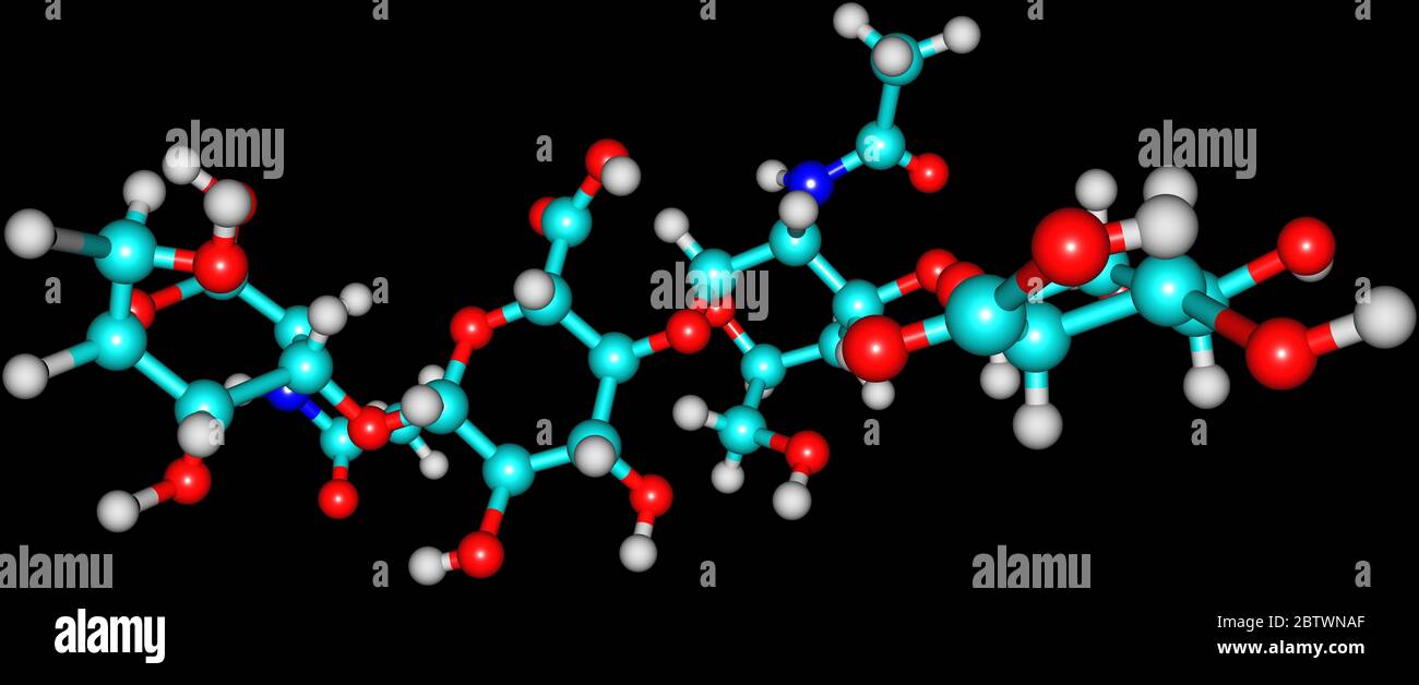 L'acido ialuronico o ialuronano è un glicosaminoglicano anionico, non  solfatato, ampiamente distribuito in tutti i tessuti connettivi, epiteliali  e neurali. 3 Foto stock - Alamy
