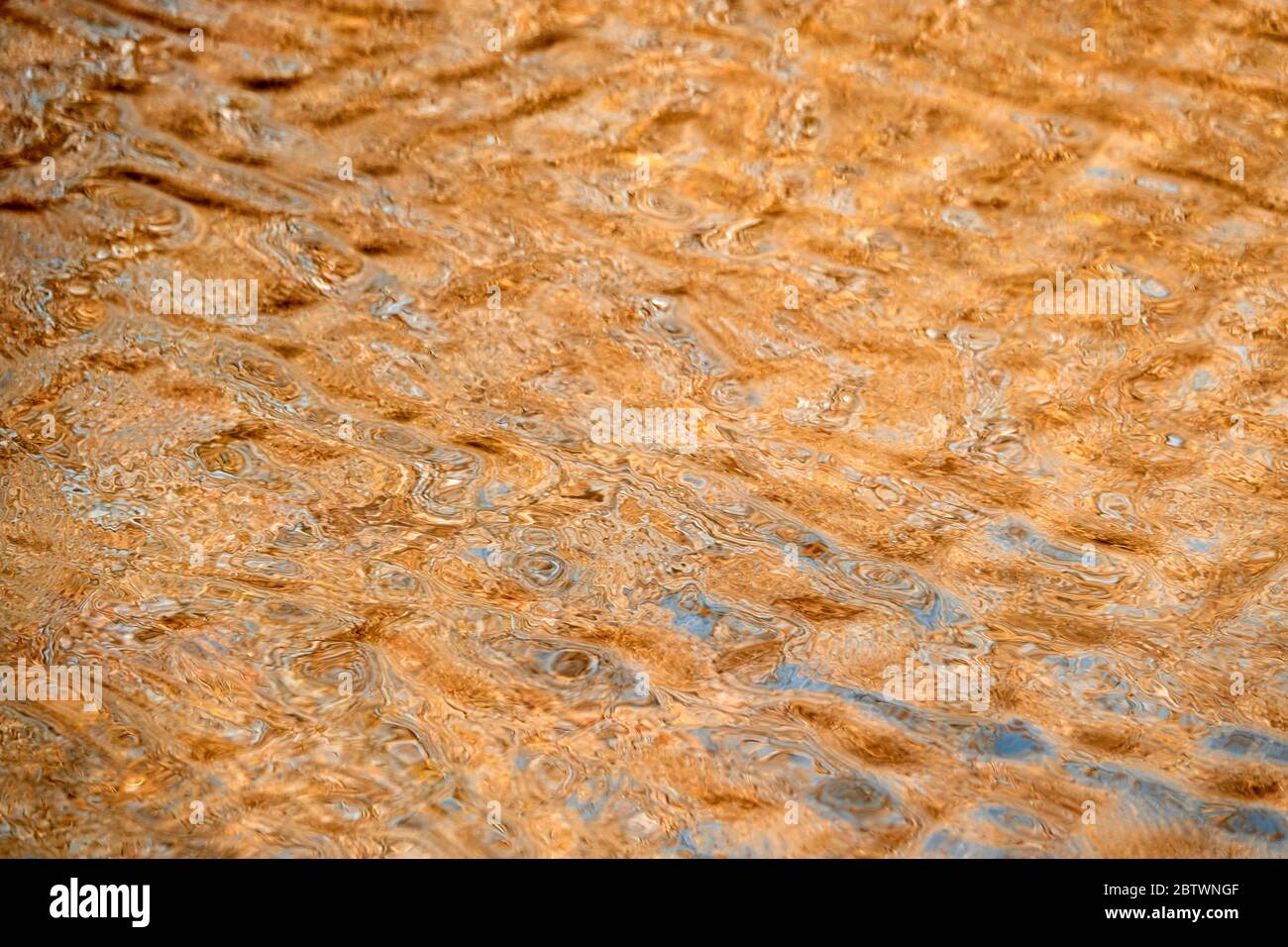 La superficie dell'acqua brilla l'oro, le piccole onde formano un bellissimo modello. Stoccarda, Germania Foto Stock