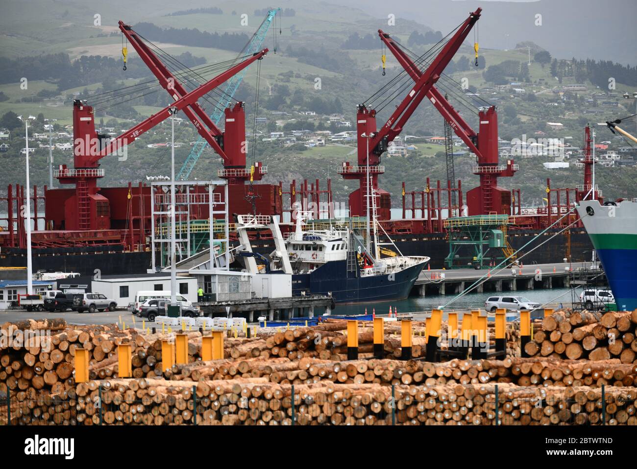 LYTTLETON, NUOVA ZELANDA, 21 NOVEMBRE 2019: Tronchi Pinus radiata in attesa di esportazione linea il molo presso il porto di Lyttleton. Foto Stock