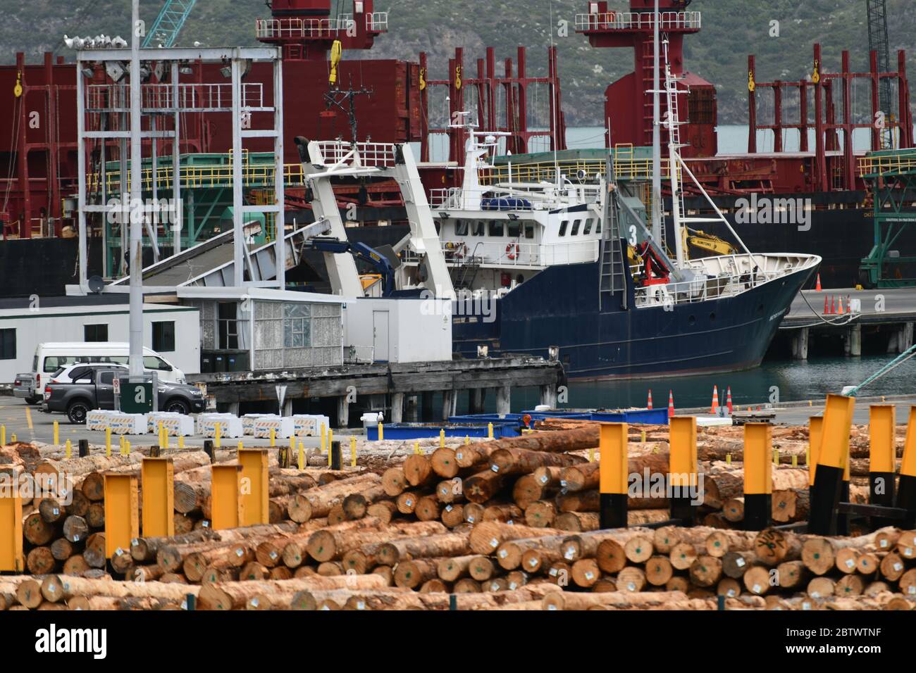 LYTTLETON, NUOVA ZELANDA, 21 NOVEMBRE 2019: Tronchi Pinus radiata in attesa di esportazione linea il molo presso il porto di Lyttleton. Foto Stock
