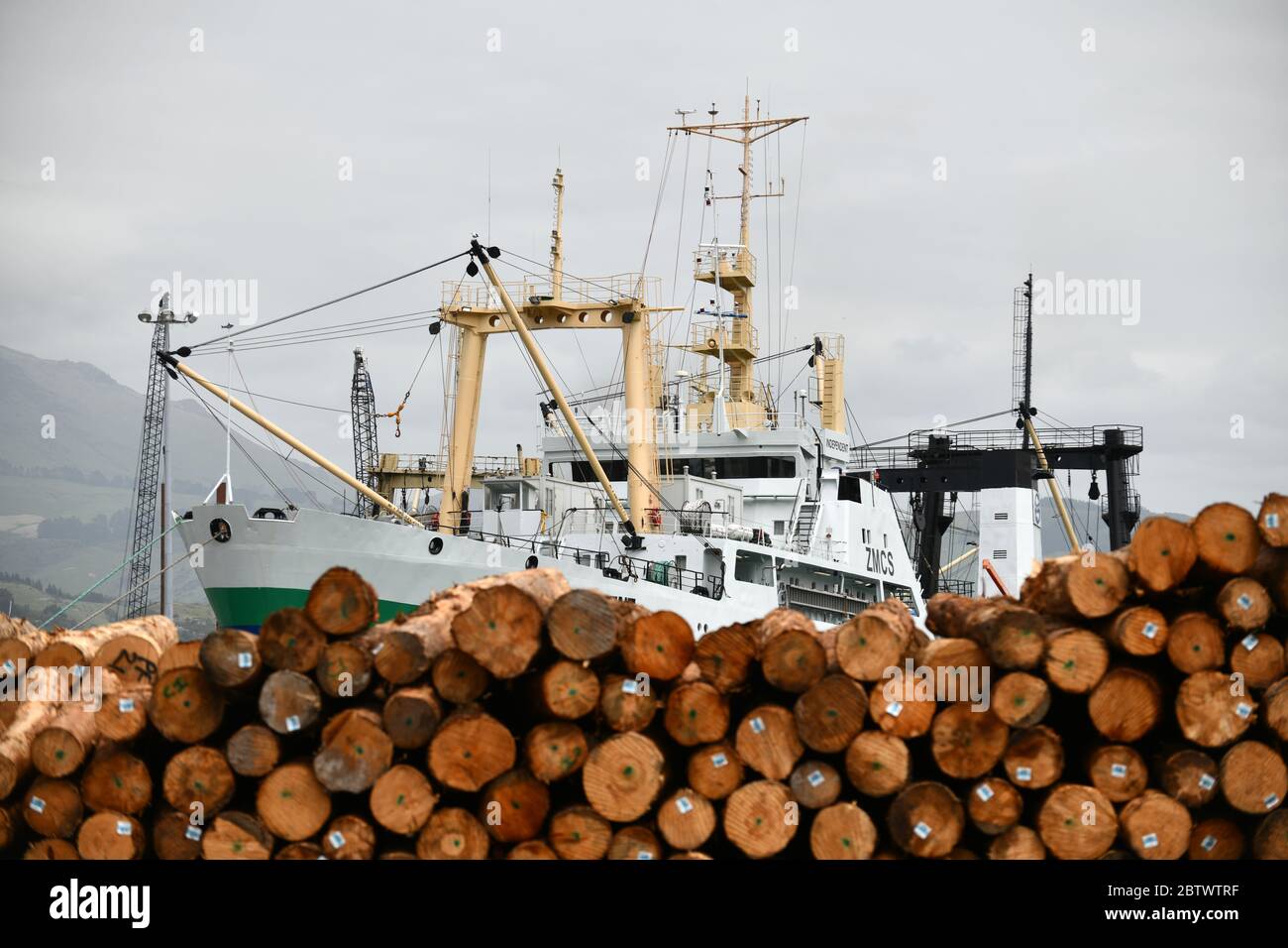 LYTTLETON, NUOVA ZELANDA, 21 NOVEMBRE 2019: Tronchi Pinus radiata in attesa di esportazione linea il molo presso il porto di Lyttleton. Foto Stock