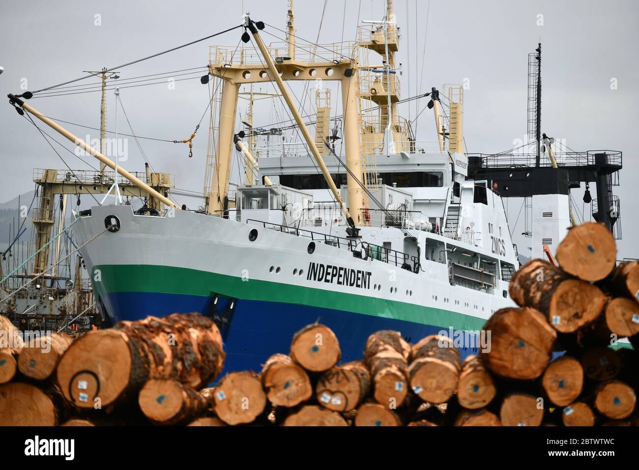 LYTTLETON, NUOVA ZELANDA, 21 NOVEMBRE 2019: Tronchi Pinus radiata in attesa di esportazione linea il molo presso il porto di Lyttleton. Foto Stock