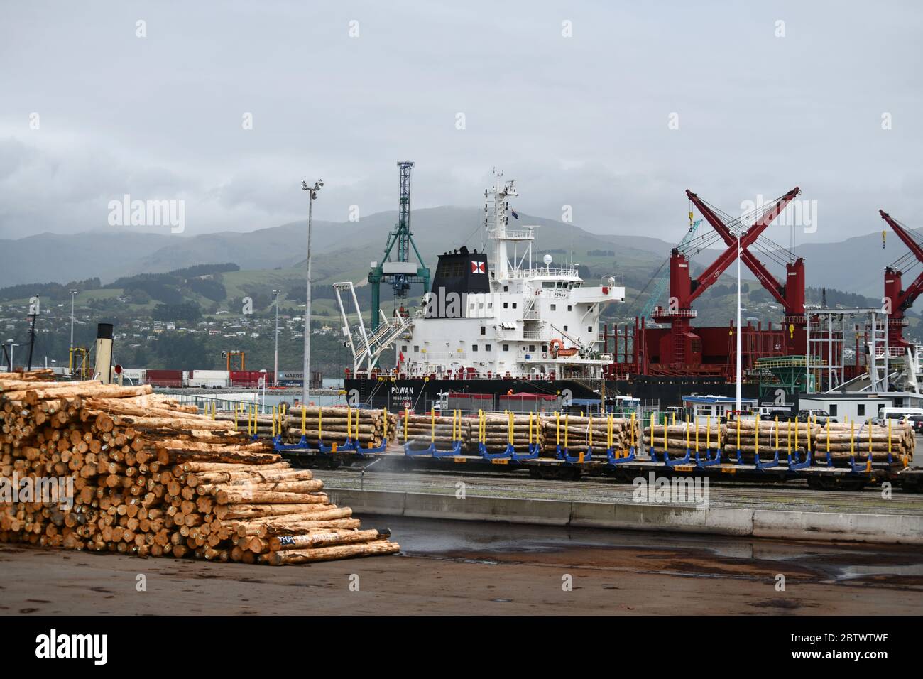 LYTTLETON, NUOVA ZELANDA, 21 NOVEMBRE 2019: Tronchi Pinus radiata in attesa di esportazione linea il molo presso il porto di Lyttleton. Foto Stock