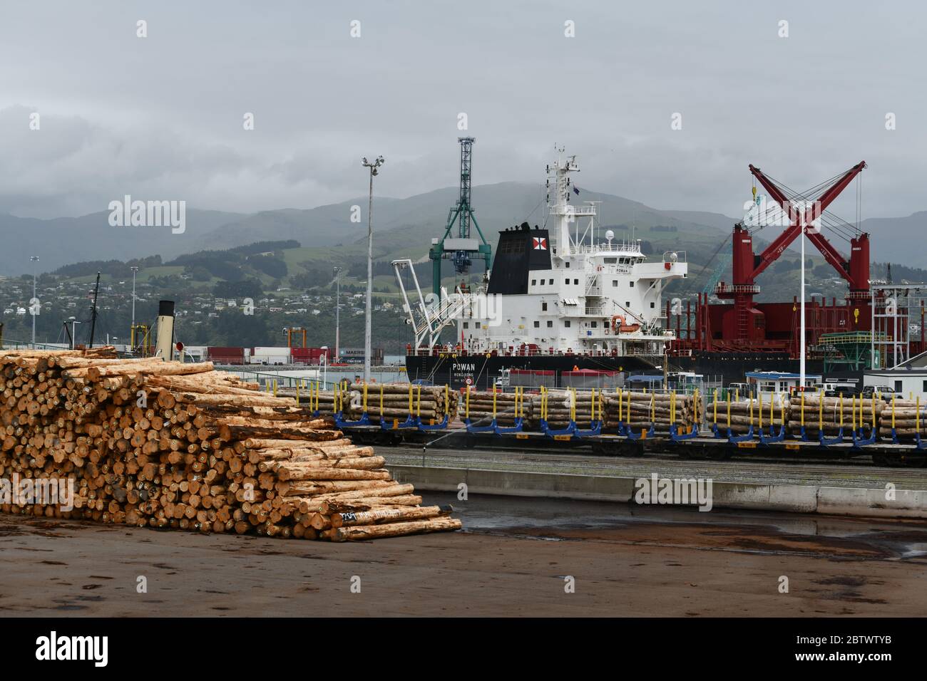 LYTTLETON, NUOVA ZELANDA, 21 NOVEMBRE 2019: Tronchi Pinus radiata in attesa di esportazione linea il molo presso il porto di Lyttleton. Foto Stock