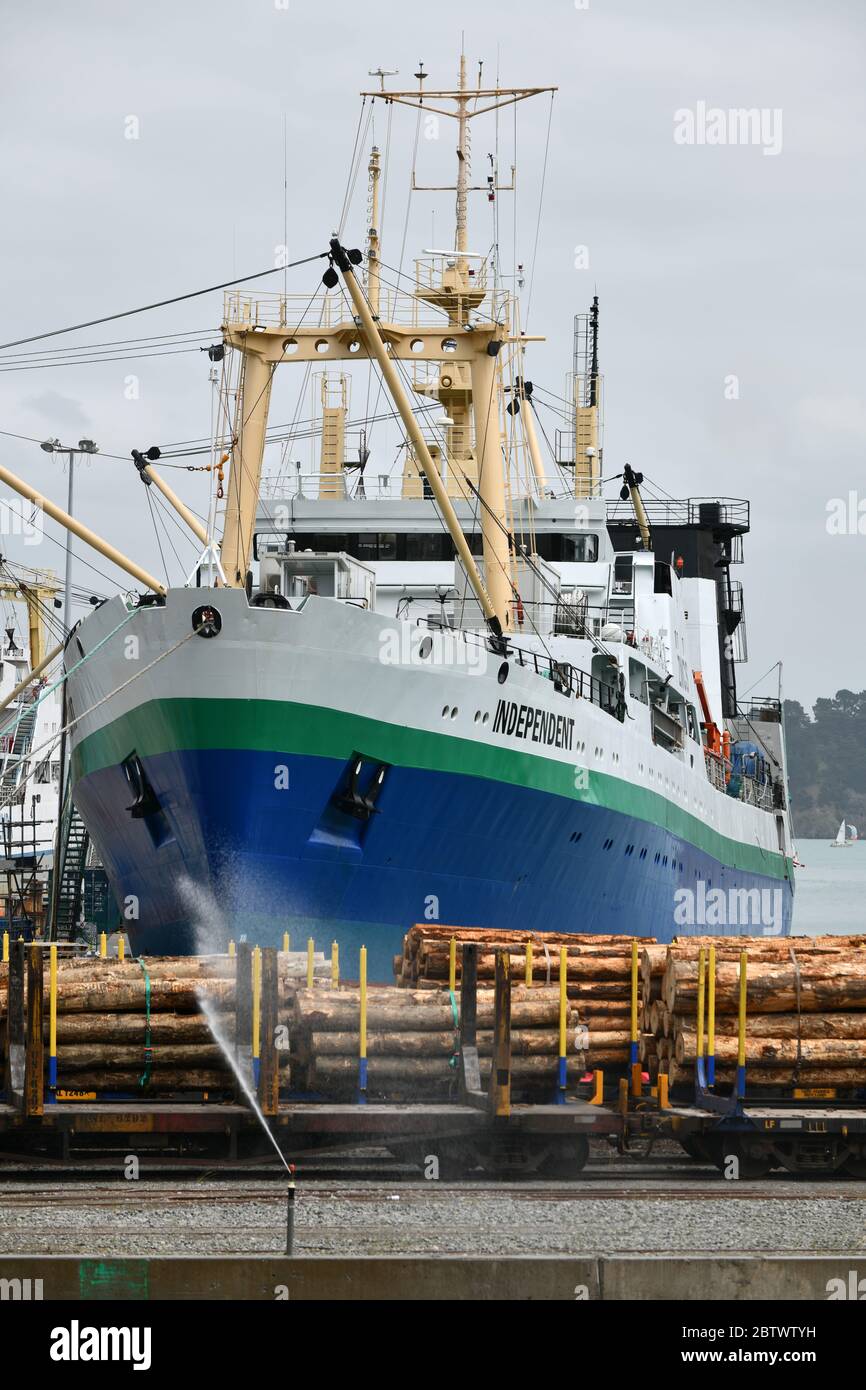 LYTTLETON, NUOVA ZELANDA, 21 NOVEMBRE 2019: Tronchi Pinus radiata in attesa di esportazione linea il molo presso il porto di Lyttleton. Foto Stock