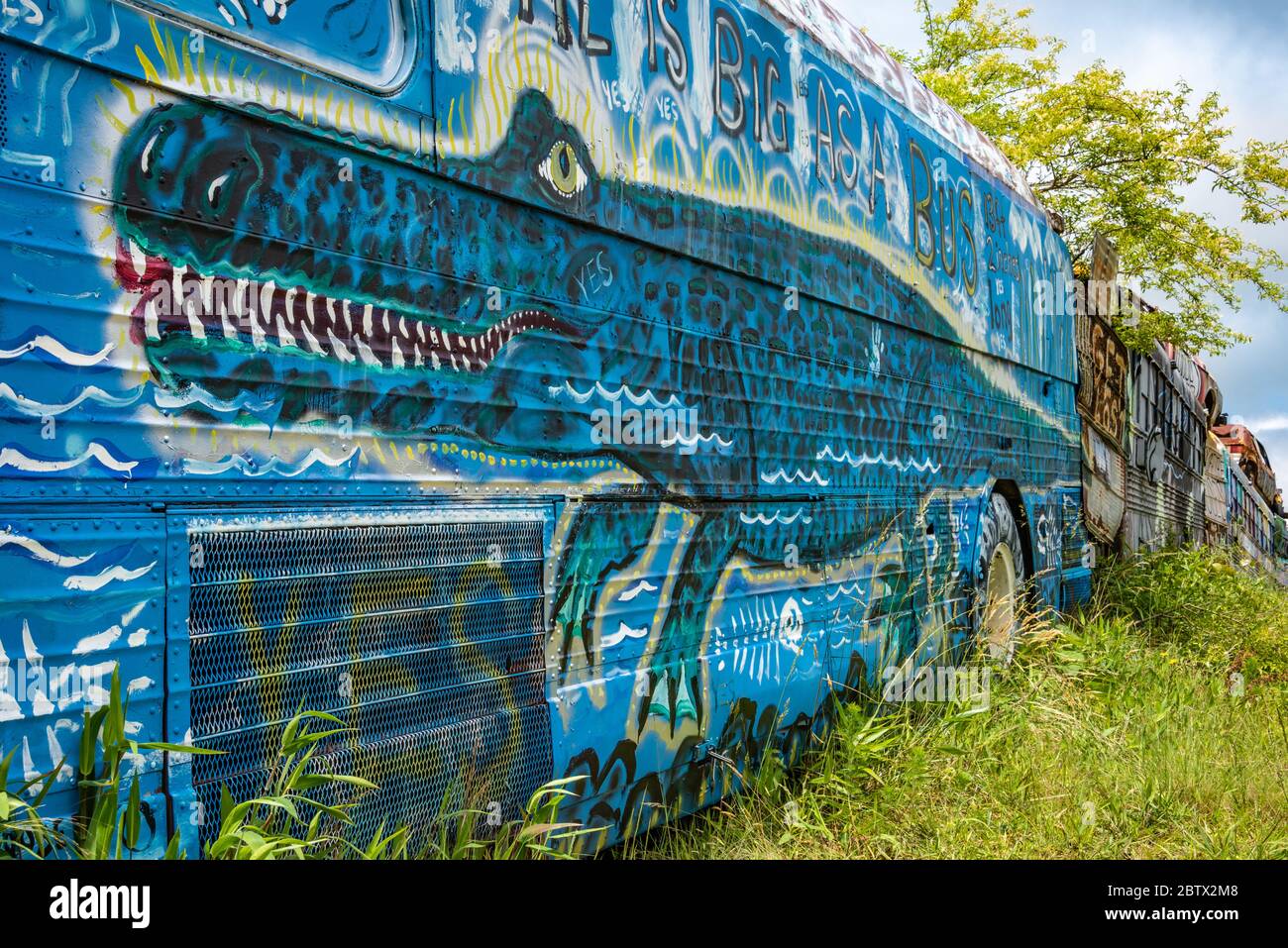 Autobus alligatore presso il cimitero degli autobus della scuola di Alto, Georgia. (STATI UNITI) Foto Stock