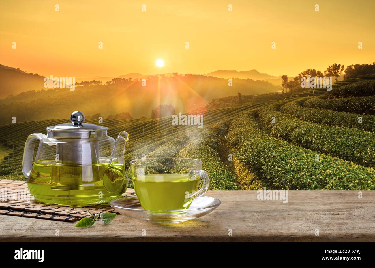 Tea Cup verde e brocche o vasi di vetro. Con e foglia di tè verde insaccato sul tavolo di legno e sullo sfondo delle piantagioni di tè Foto Stock