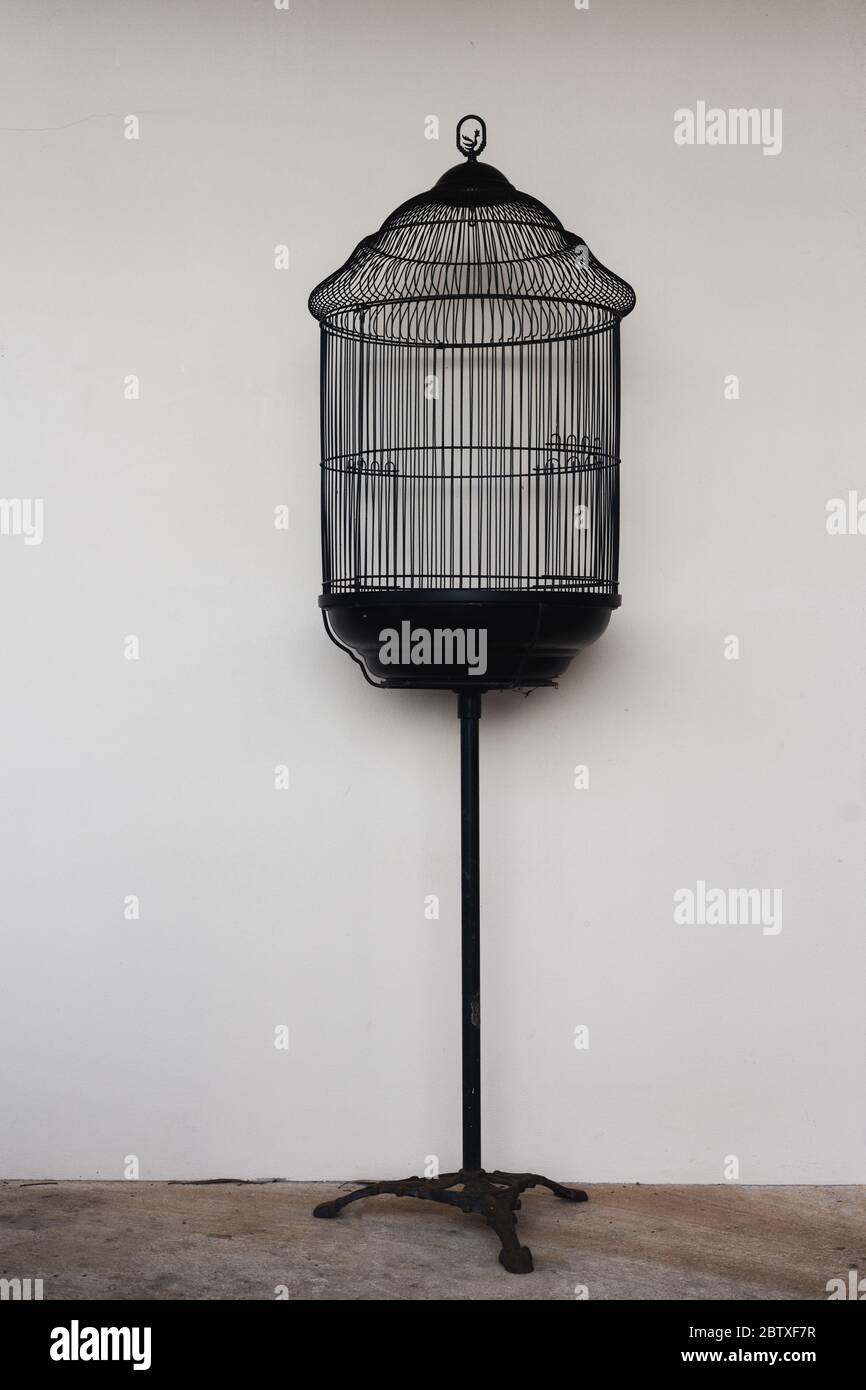 gabbia per uccelli Foto Stock