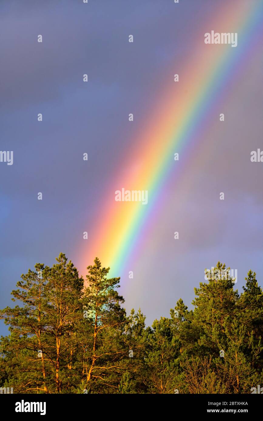 Splendido spettro arcobaleno nel cielo dopo la pioggia. Fenomeni colorati nelle nuvole. Nessuno Foto Stock