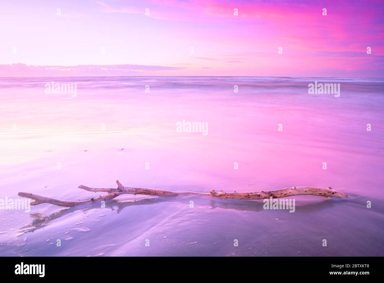 Ramo di albero su una spiaggia di sabbia al tramonto Foto Stock