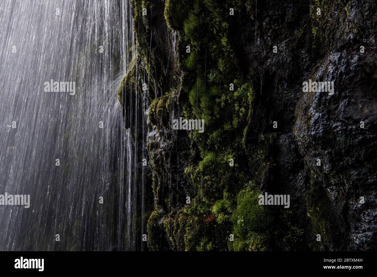 Cascata, dettaglio, Strandir, Westfjords, Islanda Foto Stock