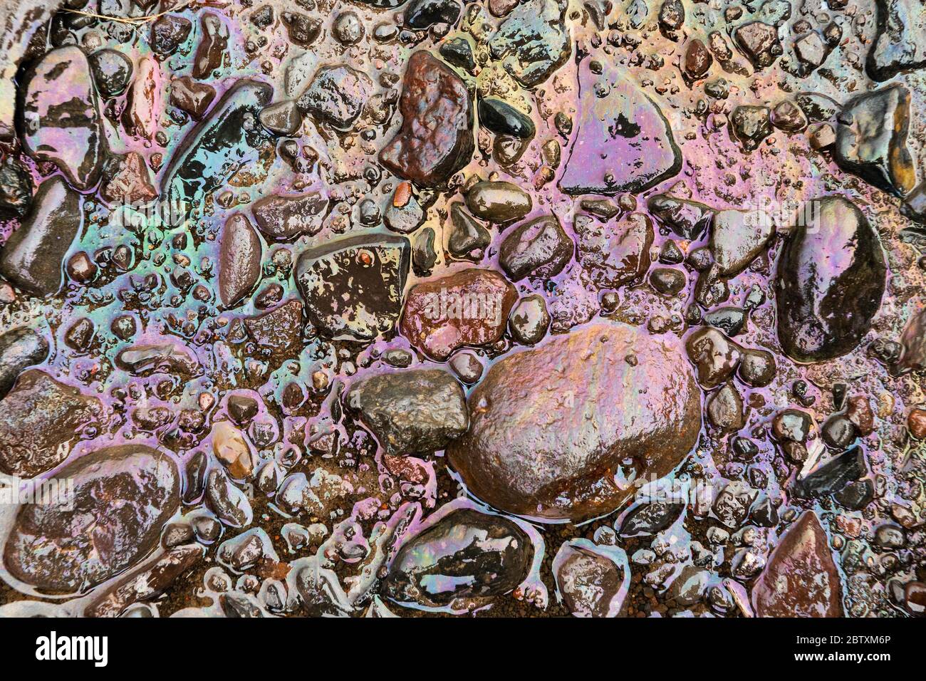 Versamenti di olio combustibile pesante sulle rocce, Djupavik, Reykjarfjoerdur, Strandir, Westfjords, Islanda Foto Stock