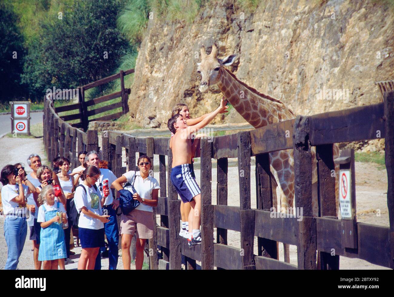 Gruppo di turisti che guardano la giraffa e due bambini che la accarezzano. Parque de la Naturaleza de Cabarceno, Cantabria, Spagna. Foto Stock