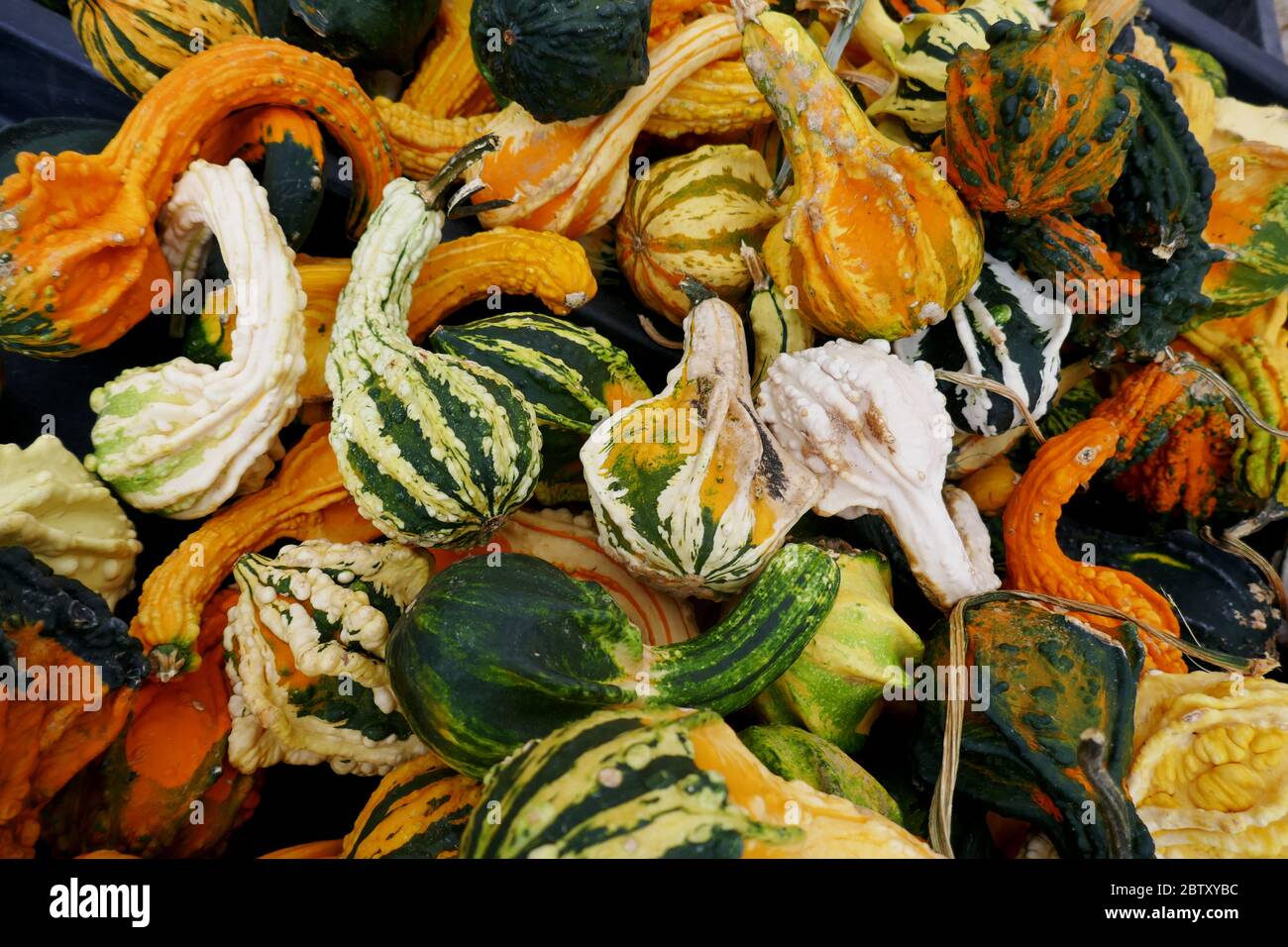 Decorazioni di Halloween a Nashville, Tennessee Foto Stock