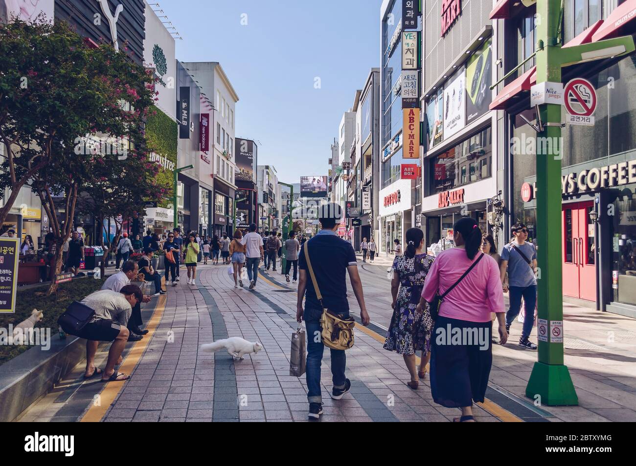 Busan, Corea del Sud, 14 settembre 2019: Affollata via dello shopping Gwangbok con negozi e caffetterie storefronts Foto Stock