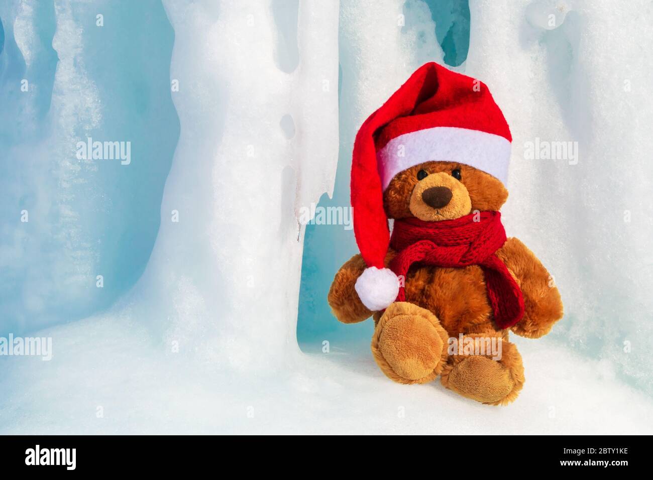 Orso di Natale in un cappello di Babbo Natale e una sciarpa rossa a maglia  legata intorno al collo. In inverno un orso si trova in una grotta di  ghiaccio. Una vera