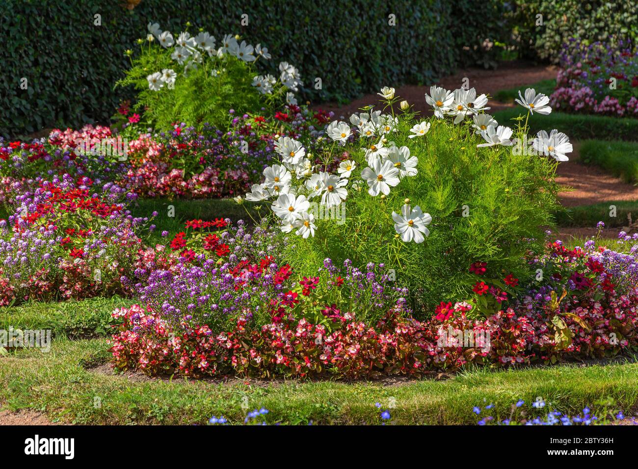 Giardino fiorito in stile francese, utilizzato una grande varietà di piante Foto Stock