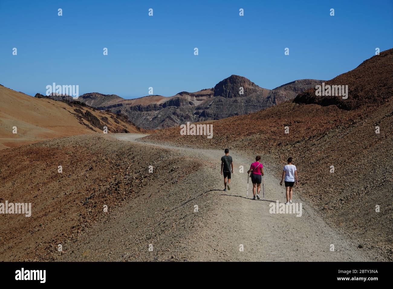 Paesaggio al Parco Nazionale del Teide, Patrimonio Mondiale dell'UNESCO, Tenerife, Isole Canarie, Spagna, Atlantico, Europa Foto Stock