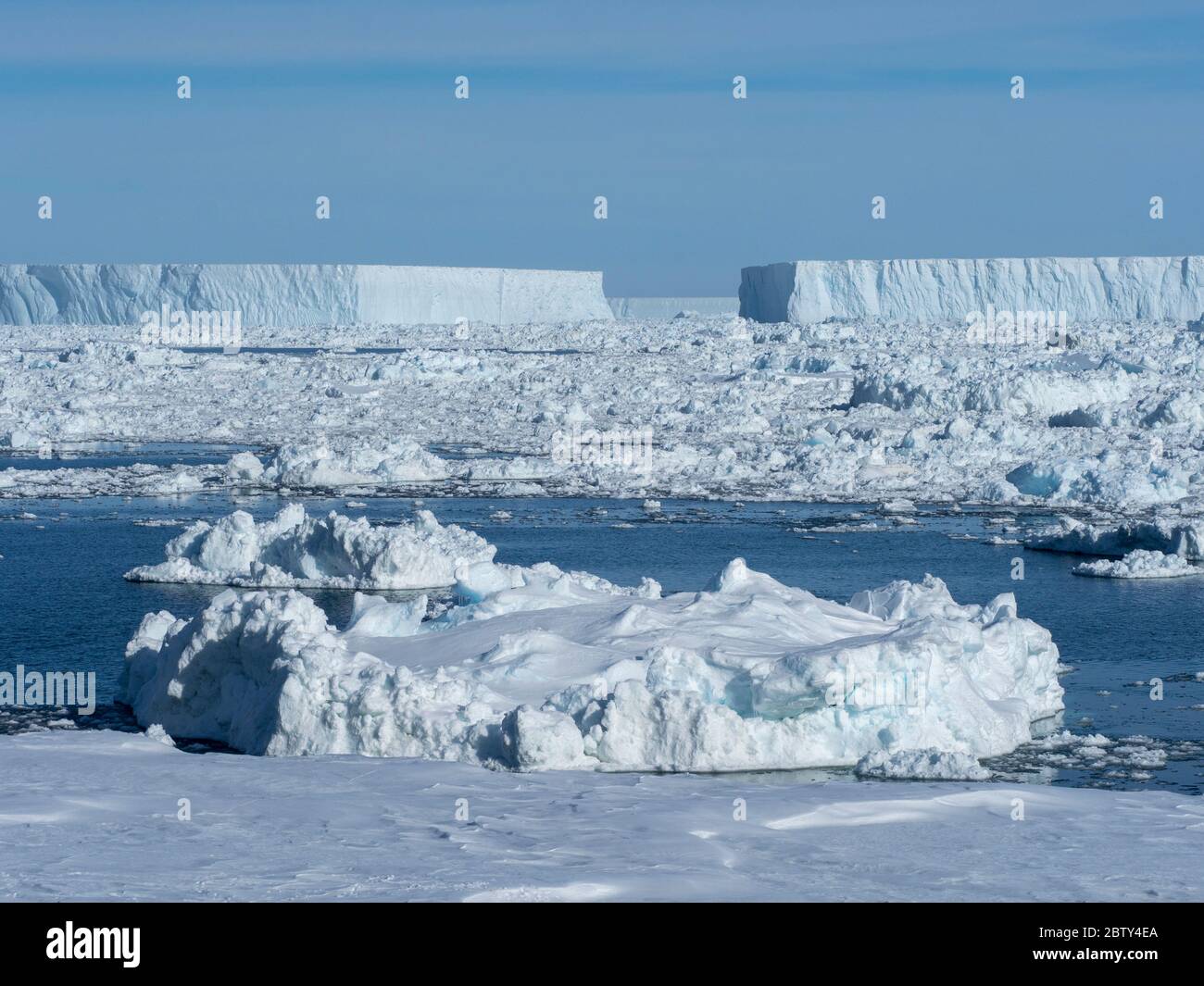 Ghiaccio di mare, iceberg tabulari e ghiaccio di pesce in Erebus e nel Golfo del Terrore, Weddell Sea, Antartide, regioni polari Foto Stock