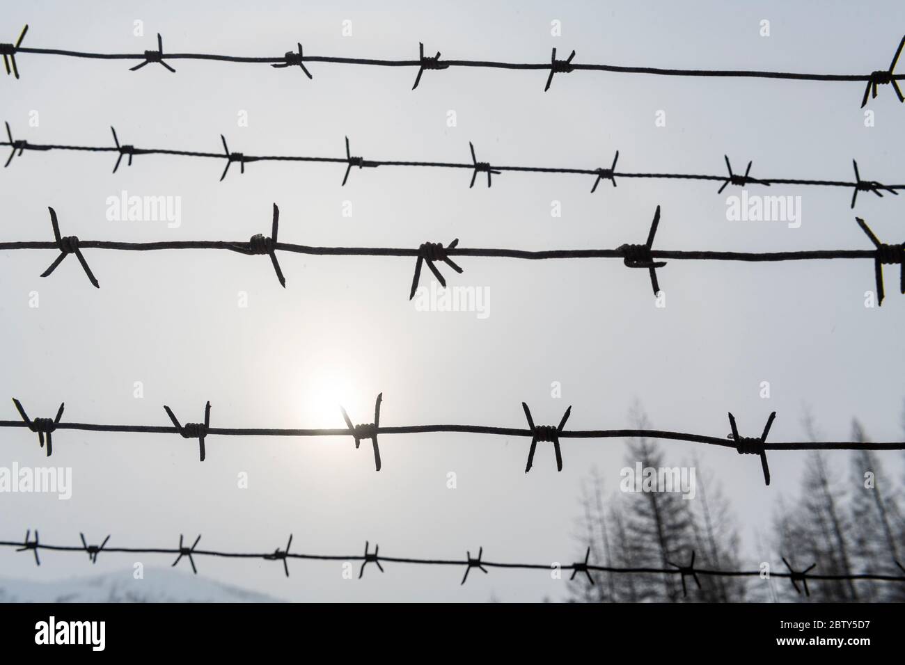 Ex Gulag lungo la strada delle ossa, Sakha Repubblica (Yakutia), Russia, Eurasia Foto Stock