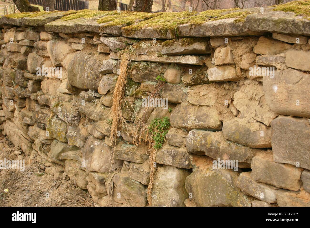 Antico muro di pietra intorno alla chiesa in Transilvania, Romania Foto Stock