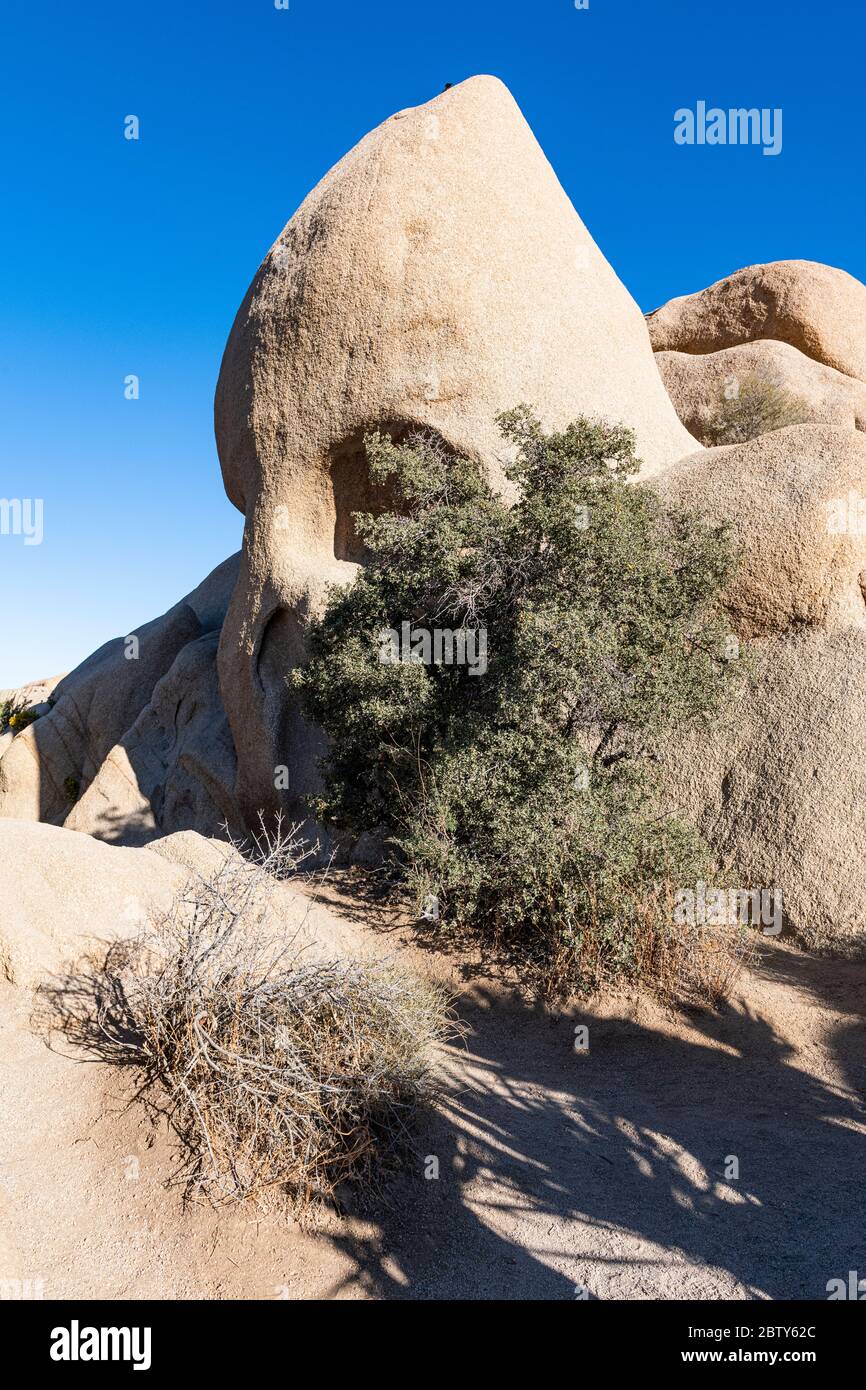 Formazione di rocce cranio, Joshua Tree National Park, California, Stati Uniti d'America, Nord America Foto Stock