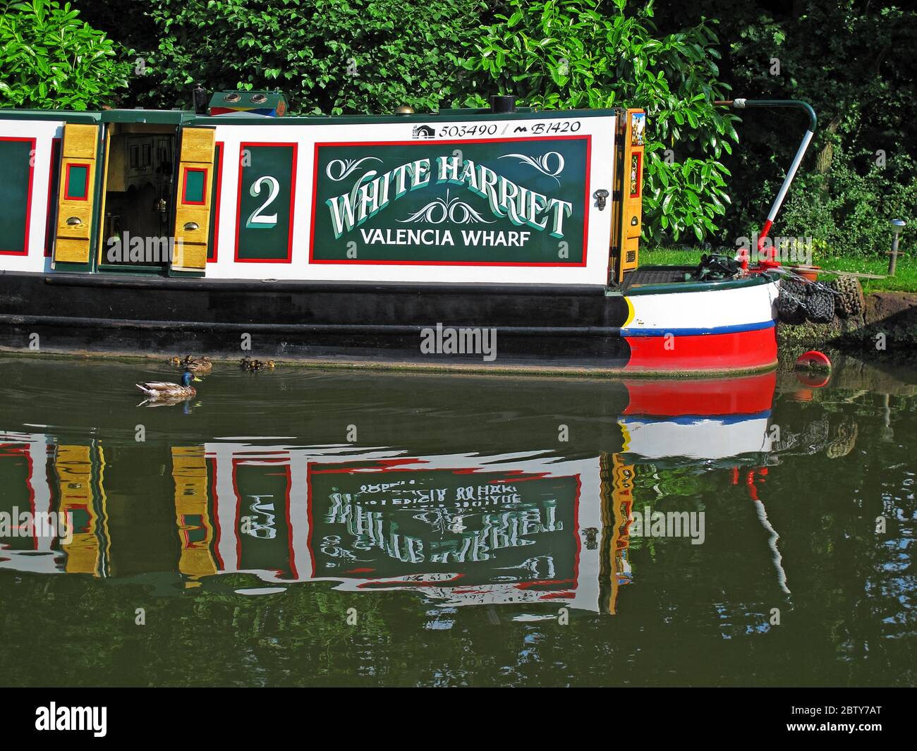 503490 ,B1420 White Harriet Valencia Wharf narrowboat, chiatta sul canale, Cheshire, Inghilterra, Regno Unito, riflessione Foto Stock