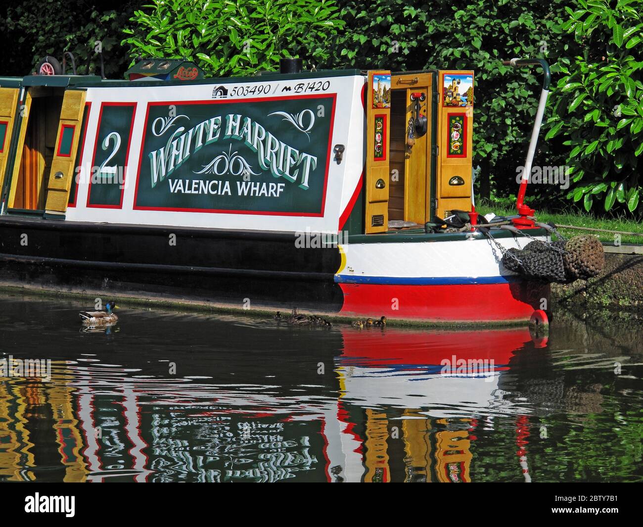 503490 ,B1420 White Harriet Valencia Wharf narrowboat, chiatta sul canale, Cheshire, Inghilterra, Regno Unito, riflessione Foto Stock