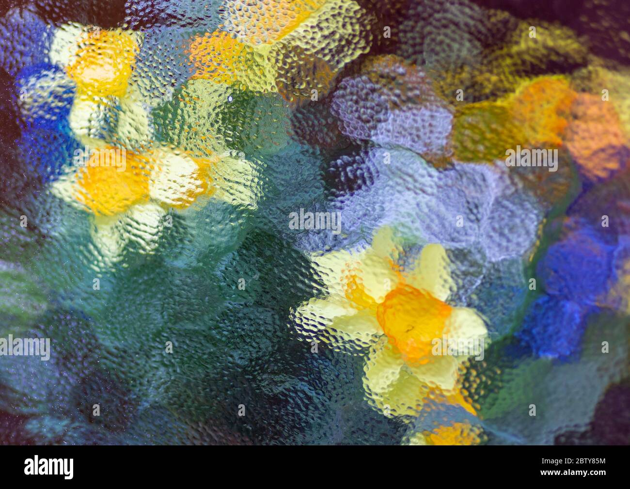 Disposizione colorata dei fiori sfocata da una finestra di vetro smerigliato. Foto Stock