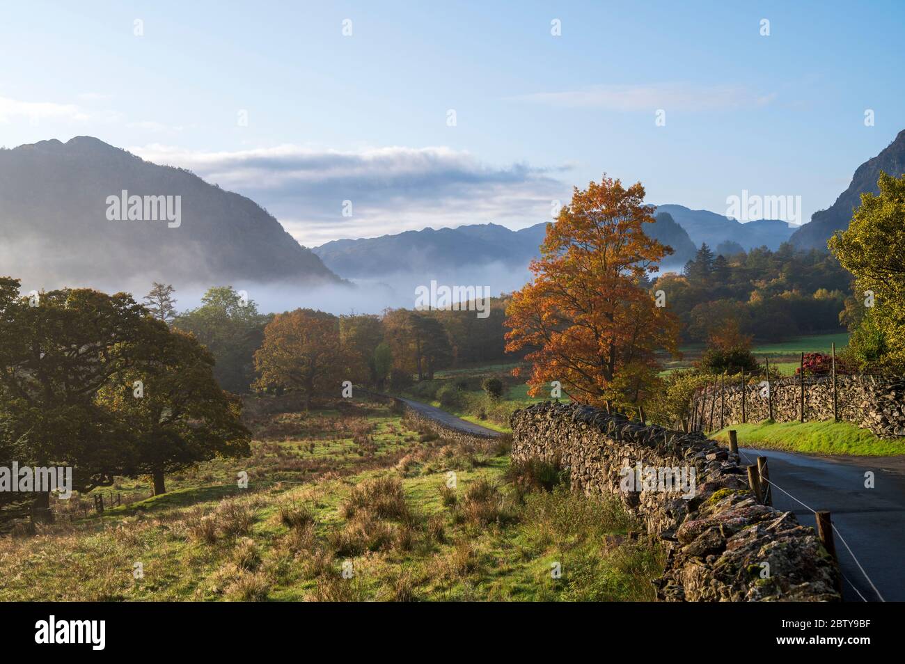 Scena autunnale, Borrowdale, Lake District National Park, patrimonio mondiale dell'UNESCO, Cumbria, Inghilterra, Regno Unito, Europa Foto Stock