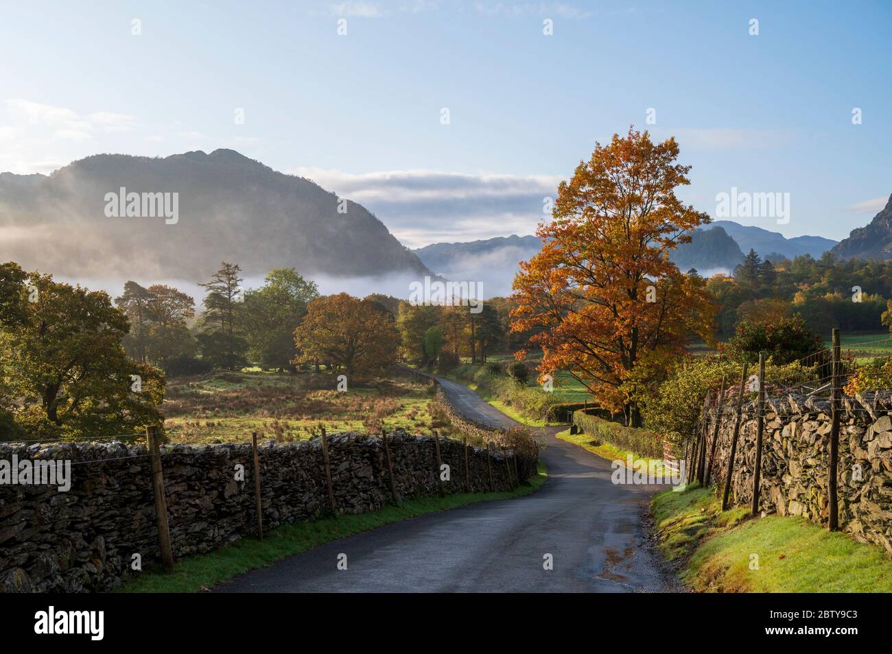Scena autunnale con nebbia mattutina in autunno, Borrowdale, Lake District National Park, patrimonio dell'umanità dell'UNESCO, Cumbria, Inghilterra, Regno Unito, Europass Foto Stock