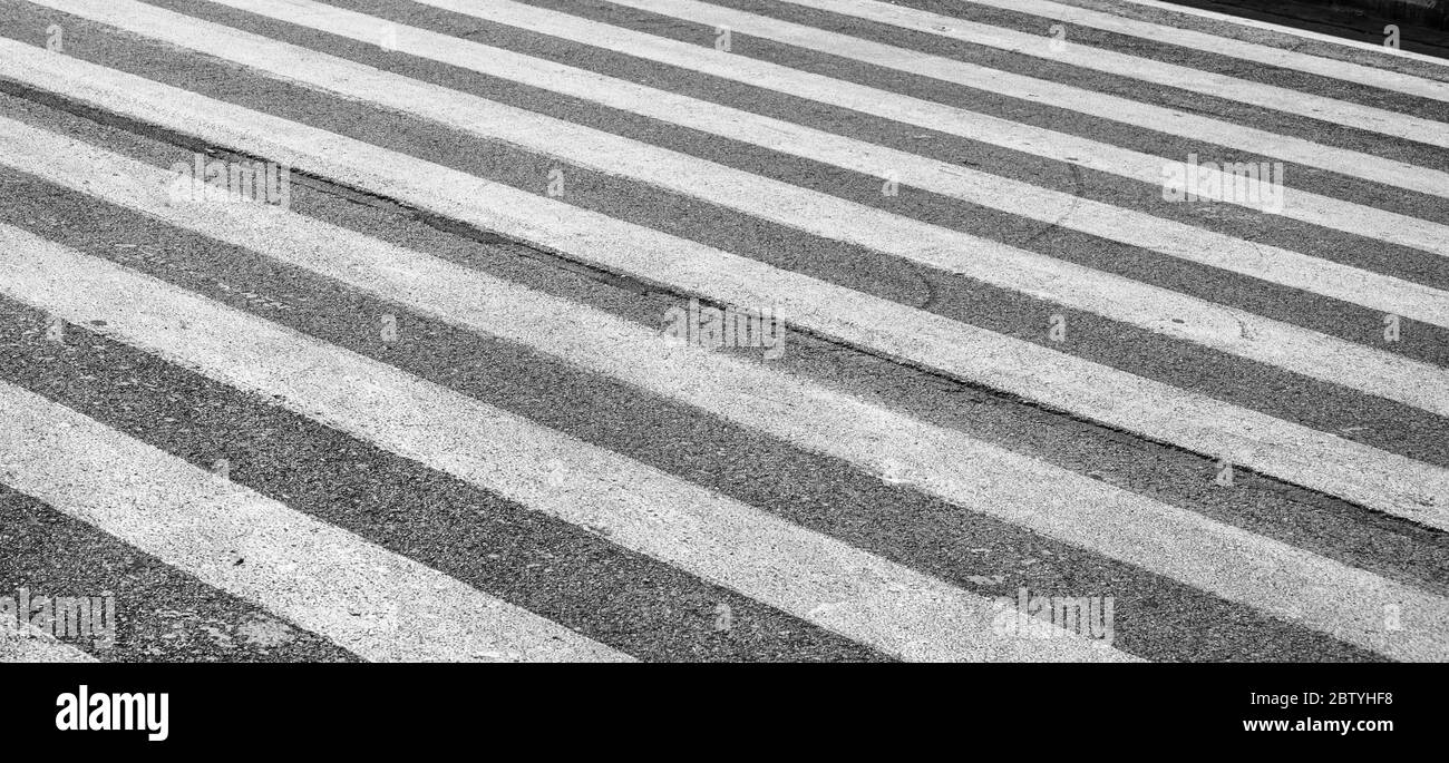 Zebra attraversando una strada a Corfù, Grecia. Foto Stock