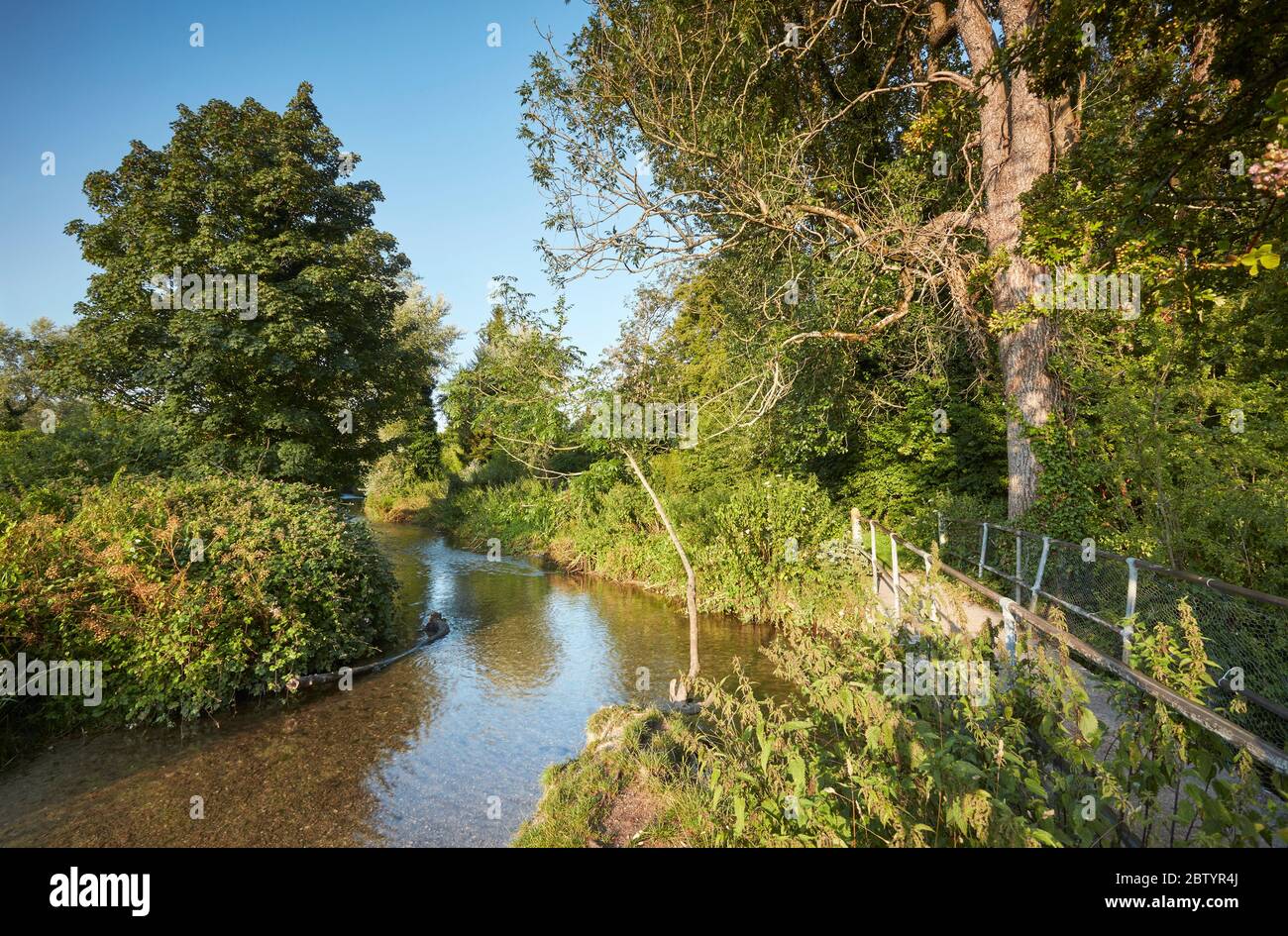 Il fiume Meon a Droxford, Hampshire, Inghilterra, Regno Unito Foto Stock