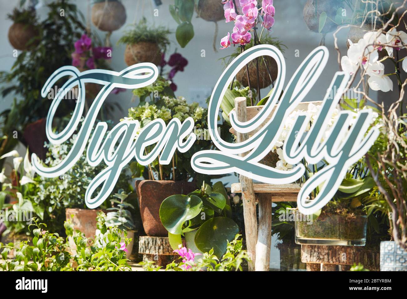 Tiger Lily Florists a Gerrards Cross, Buckinghamshire, Inghilterra, Regno Unito Foto Stock