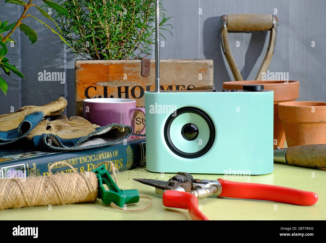 radio digitale dab in stile moderno e contemporaneo nella scena del giardino, norfolk, inghilterra Foto Stock